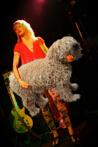 Illustration for article titled These Bass Players Look Like They're Petting Dogs, And It's Amazing